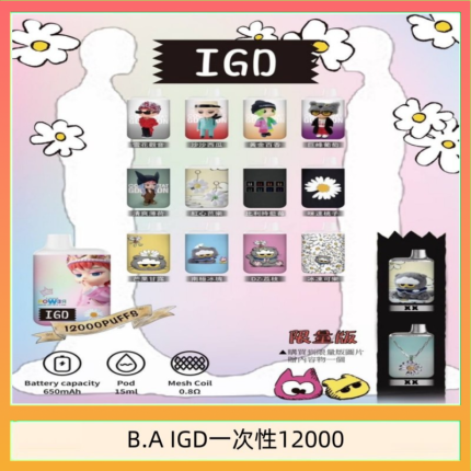 B.A IGD12000口 電子煙